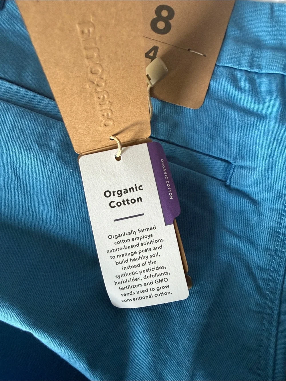 Patagonia Bright Blue Women's Shorts
